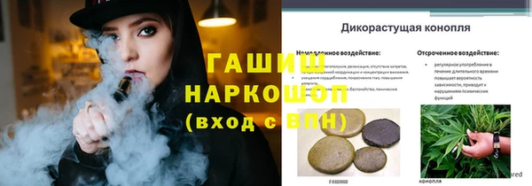 spice Абаза