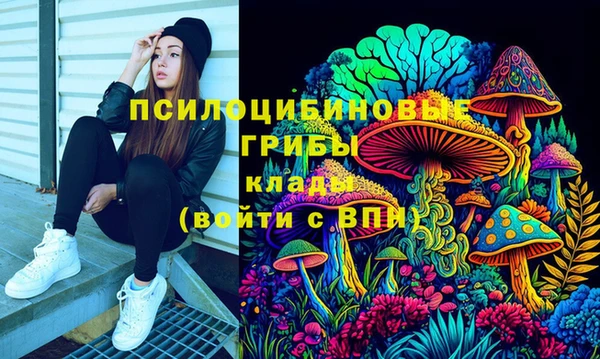 кокс Алексин
