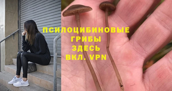 spice Абаза