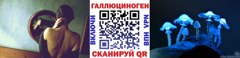 Псилоцибиновые грибы Psilocybe  Сорск 